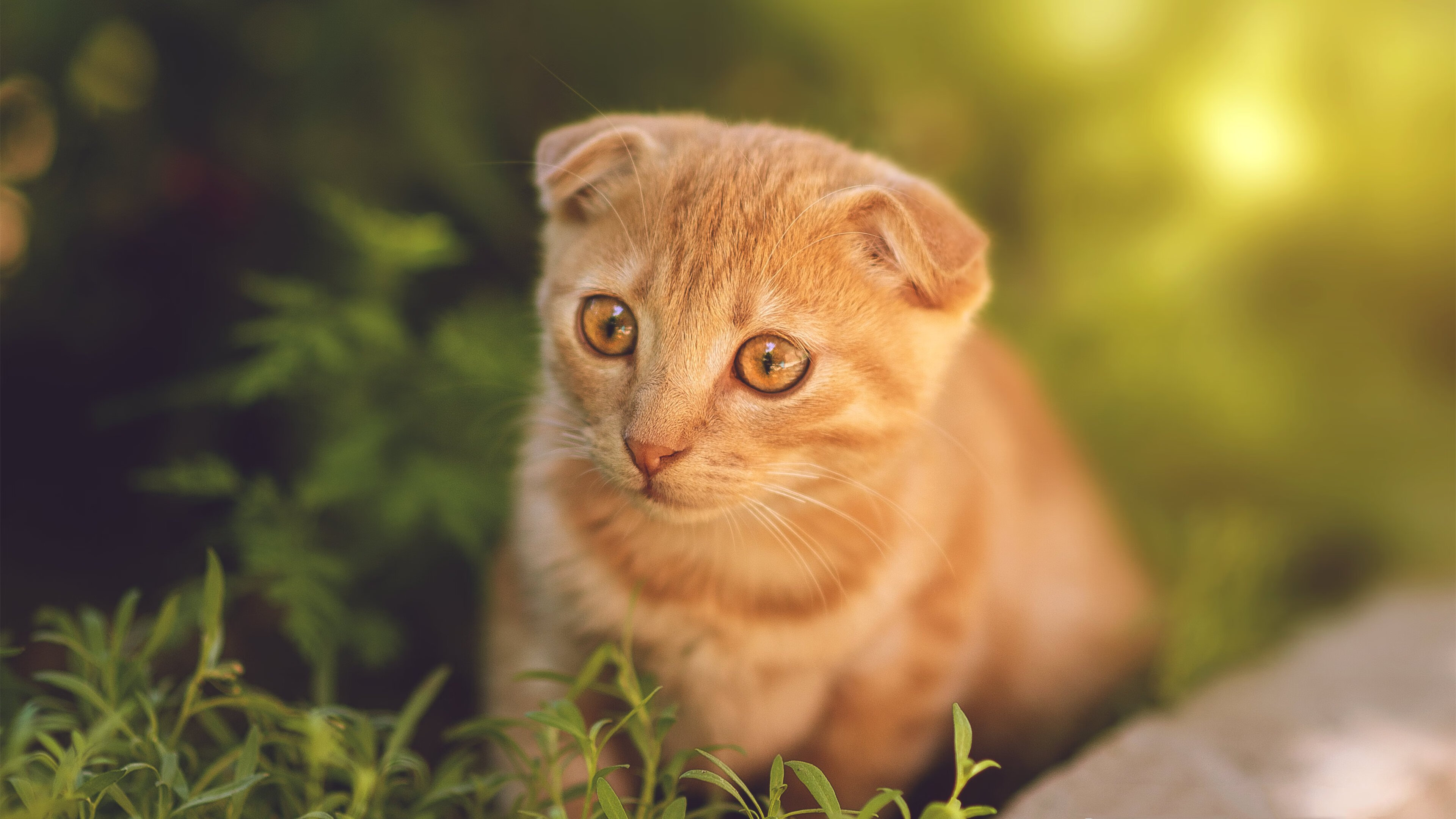 九游娱乐官方-“英超劲旅迎来关键战役,冲击榜首再奋勇”,英超劲旅有哪些